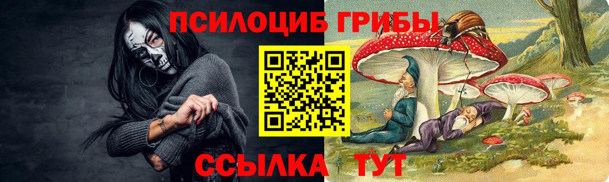 Галлюциногенные грибы Cubensis  Галлюциногенные грибы мицелий  Вход с VPN  Рубцовск 